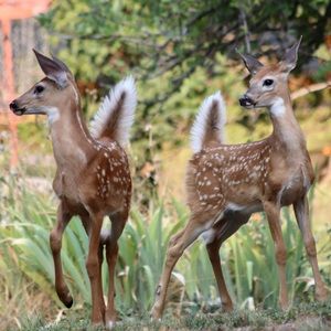 😌❤️Happy Days to You❤️🌅